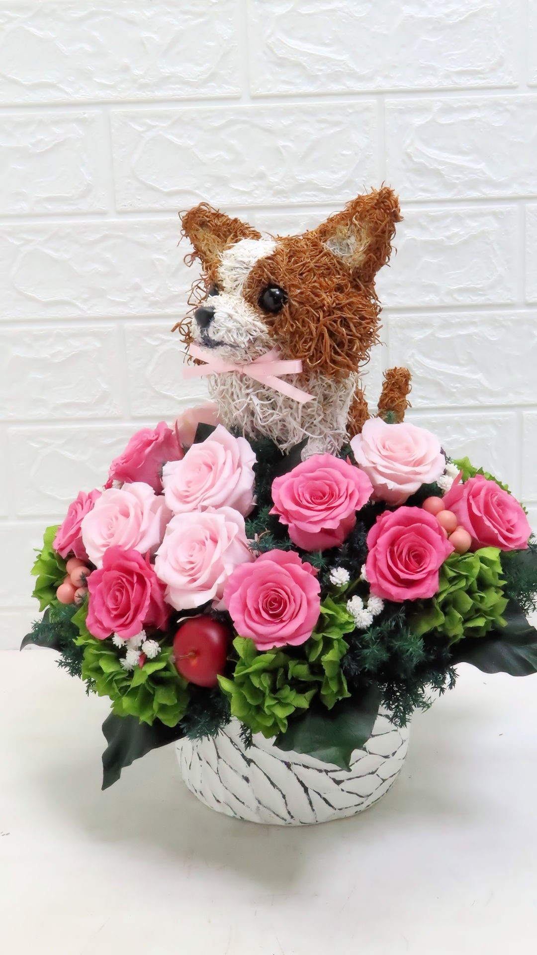 犬花