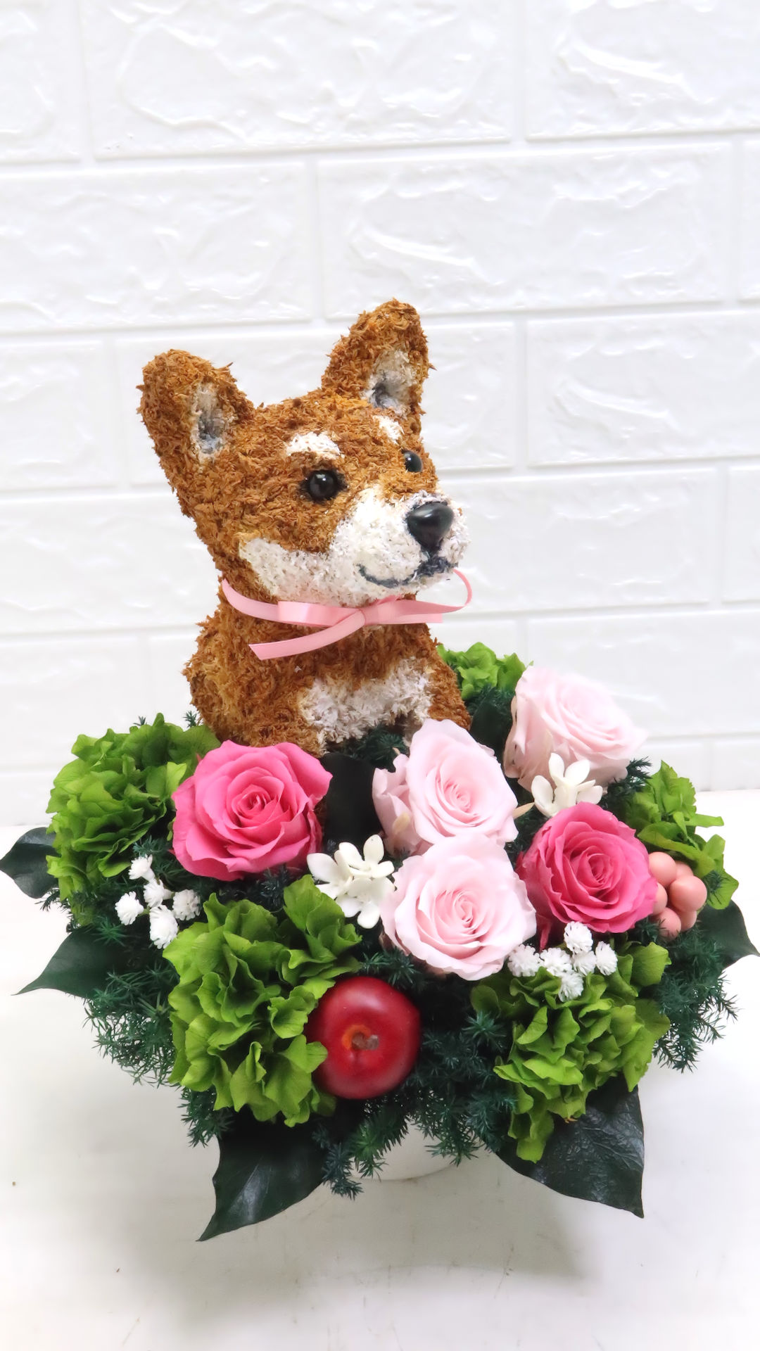 犬花