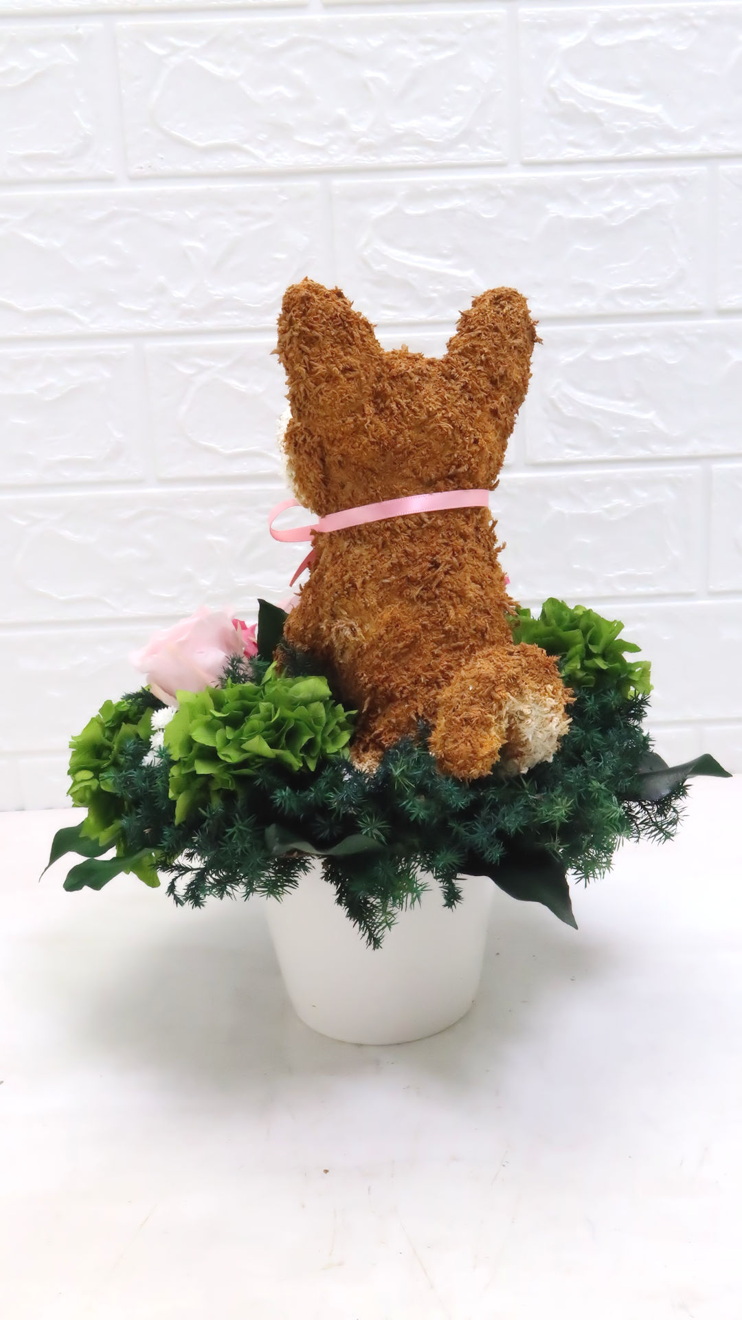 犬花