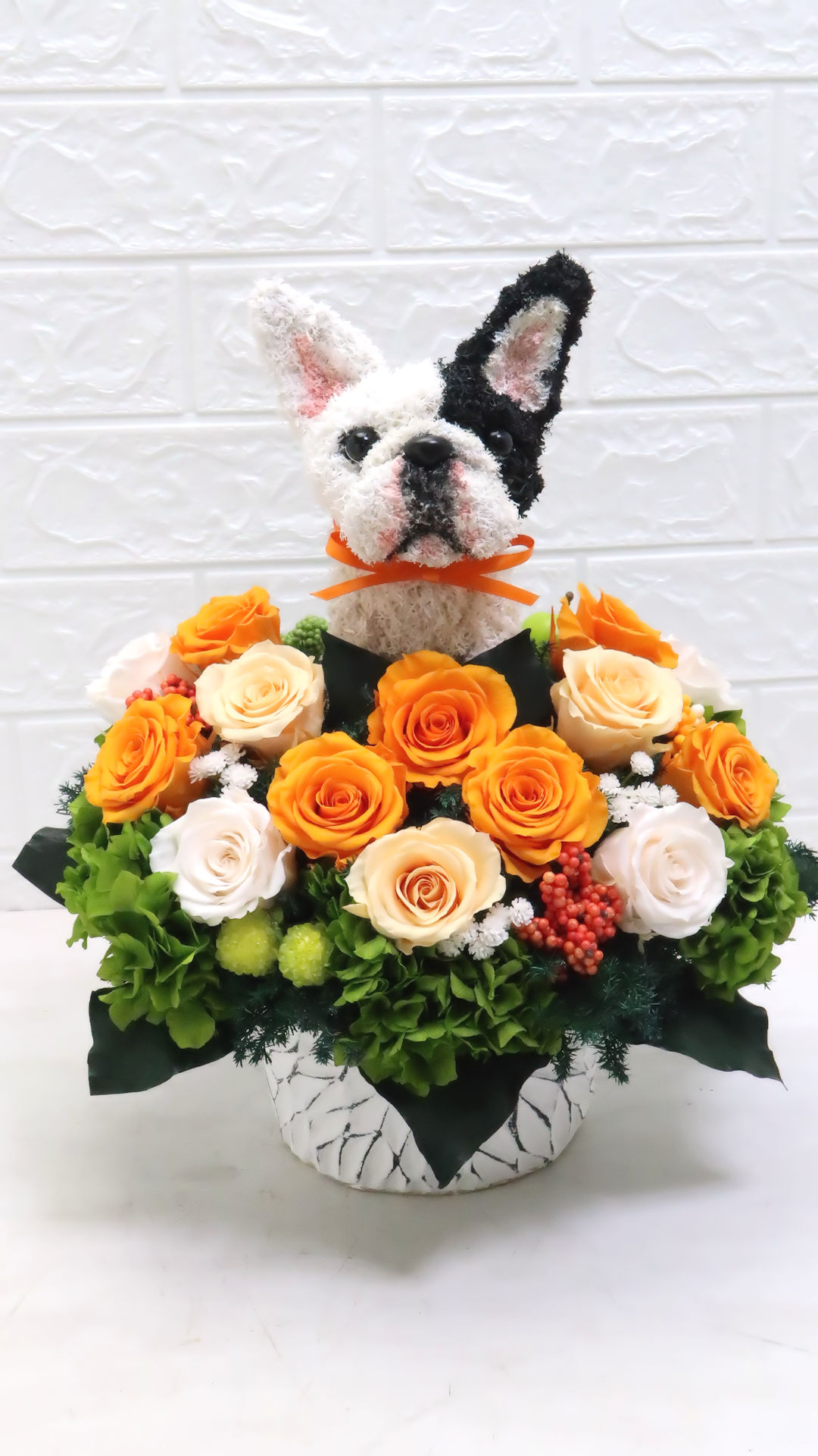開店祝い 犬