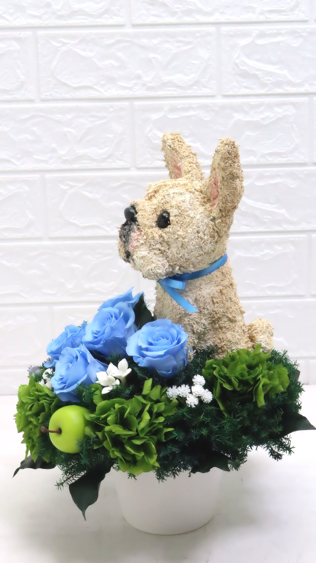 犬花