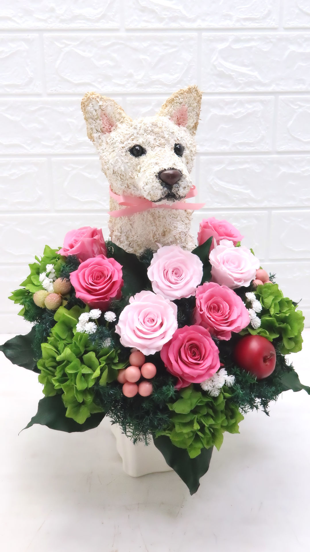 犬花