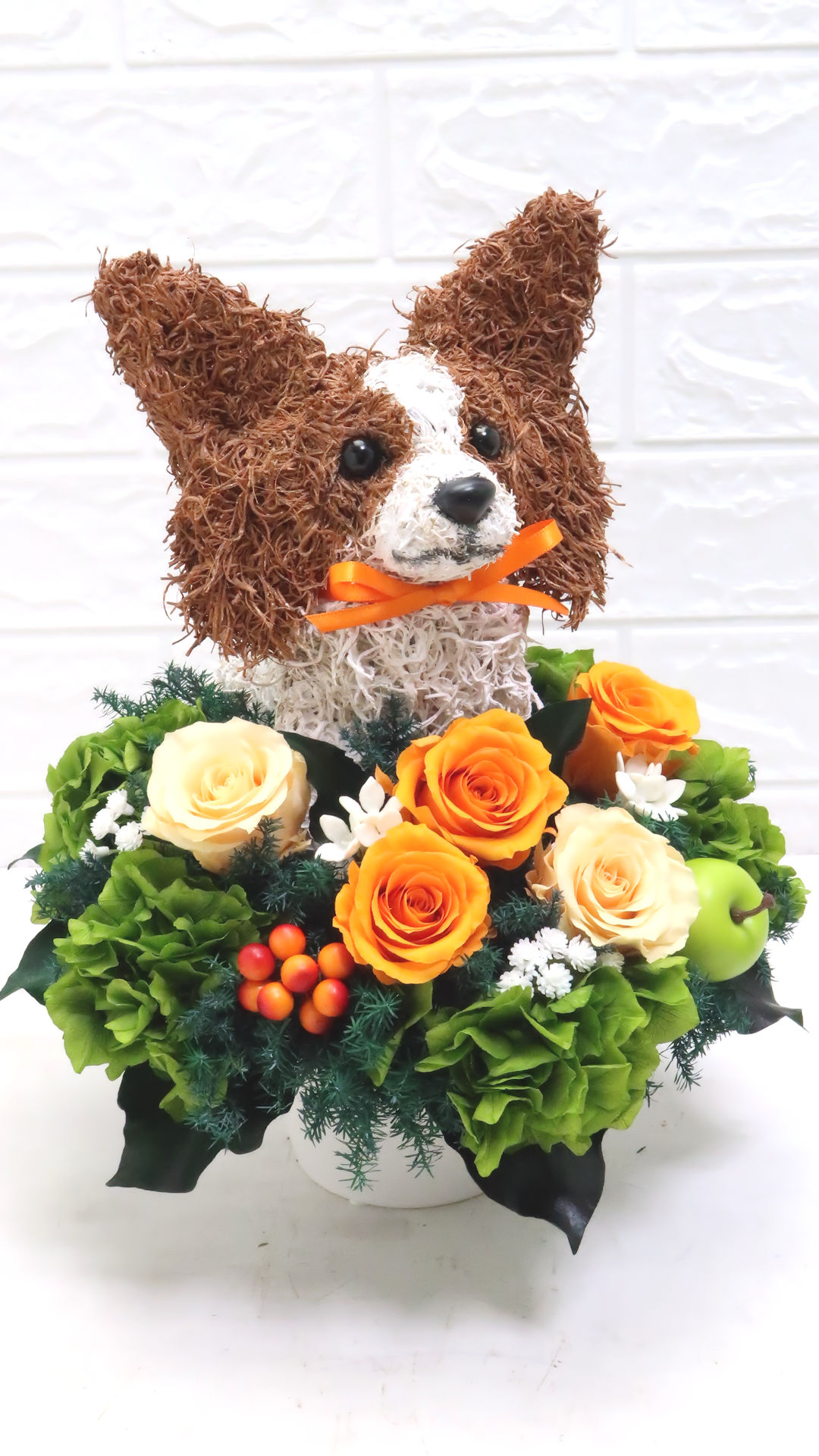 犬花