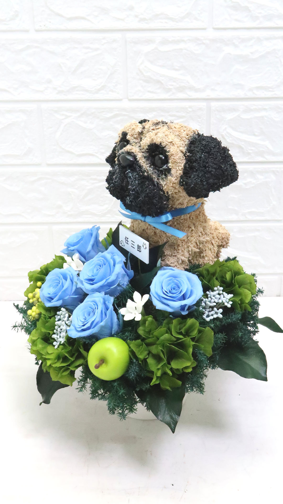 犬花
